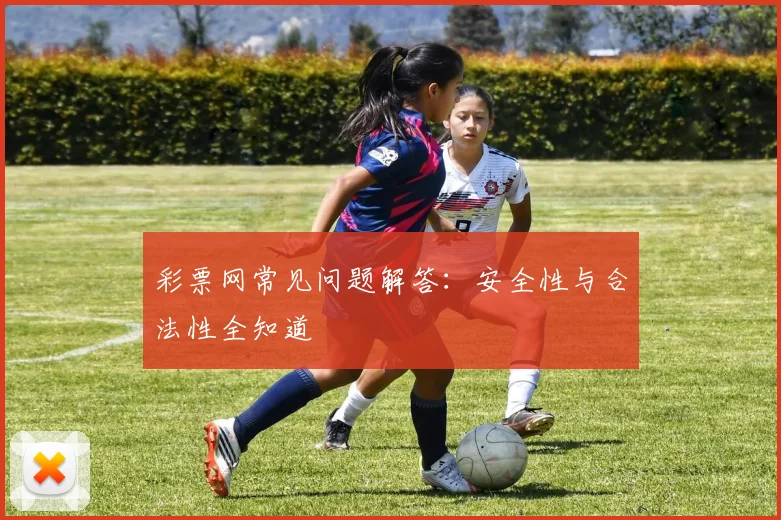 彩票网常见问题解答：安全性与合法性全知道