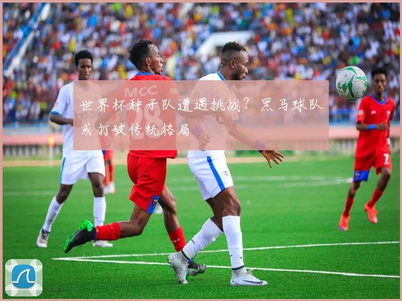 世界杯种子队遭遇挑战？黑马球队或打破传统格局