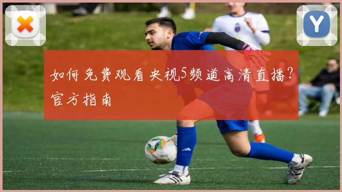 如何免费观看央视5频道高清直播？官方指南