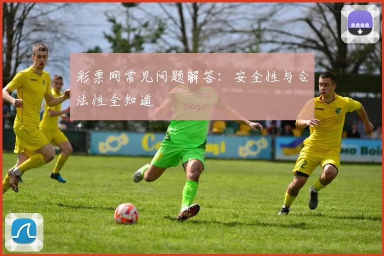 彩票网常见问题解答：安全性与合法性全知道